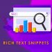 Product Rich Text Snippet - Lifeboat.app